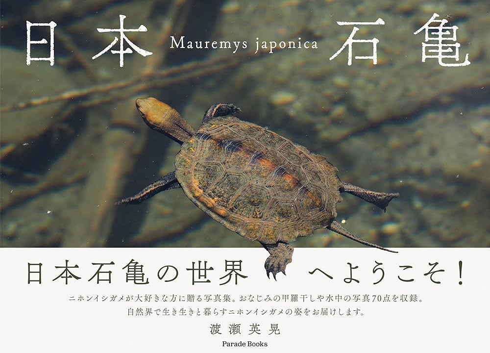 日本石亀 | 渡瀬 英晃 |本 | 通販 | Amazon