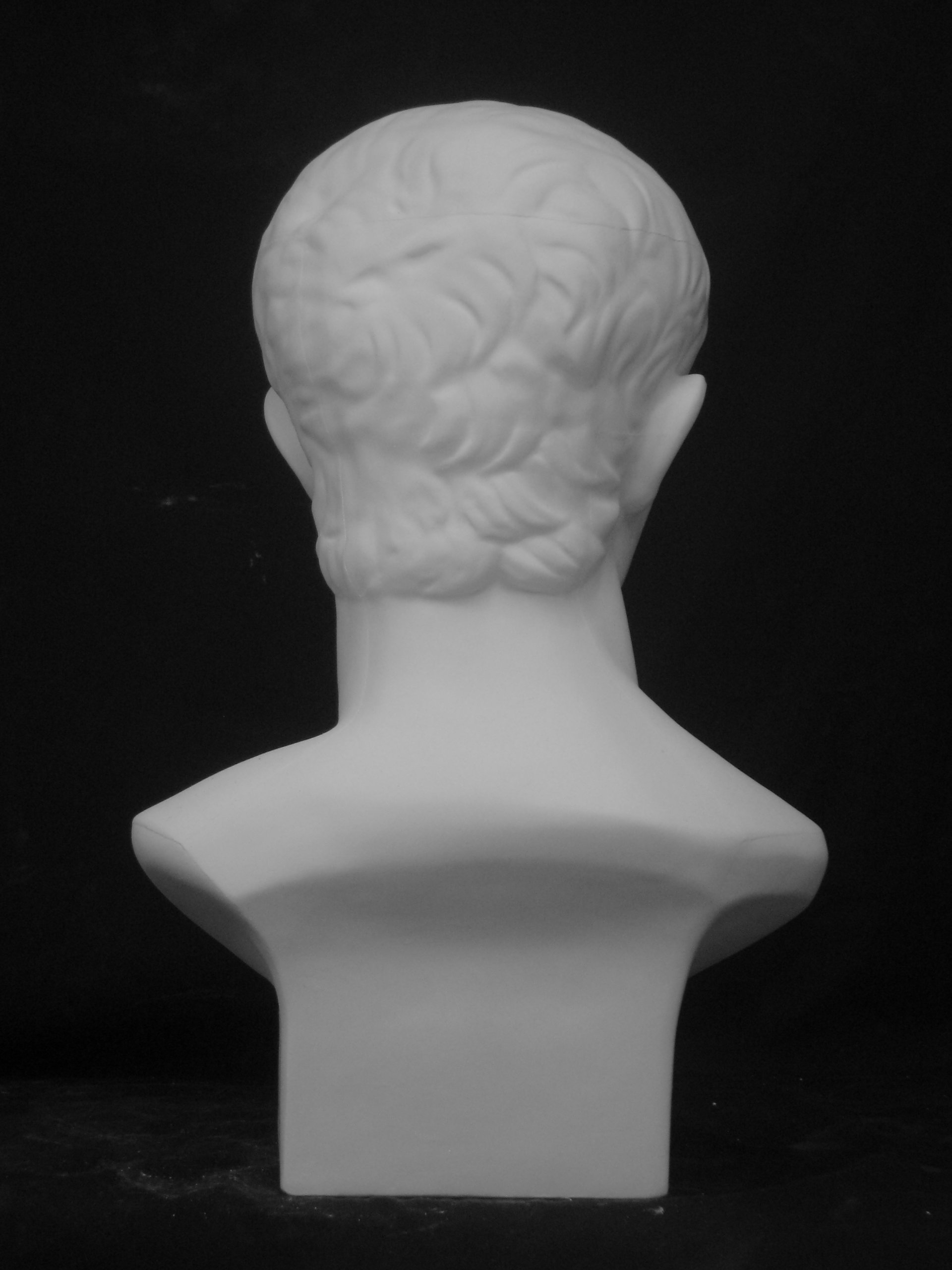 Amazon.co.jp: 石膏像 K－165 青年ブルータス胸像 H．53cm