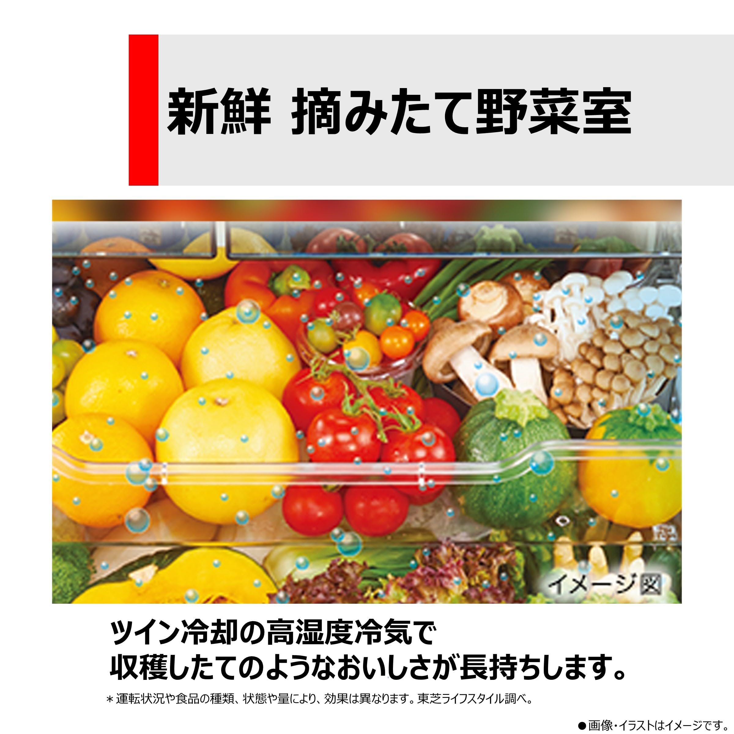 Amazon.co.jp: TOSHIBA(東芝) 冷蔵庫 幅65.0㎝ 509L フレンチドア GR