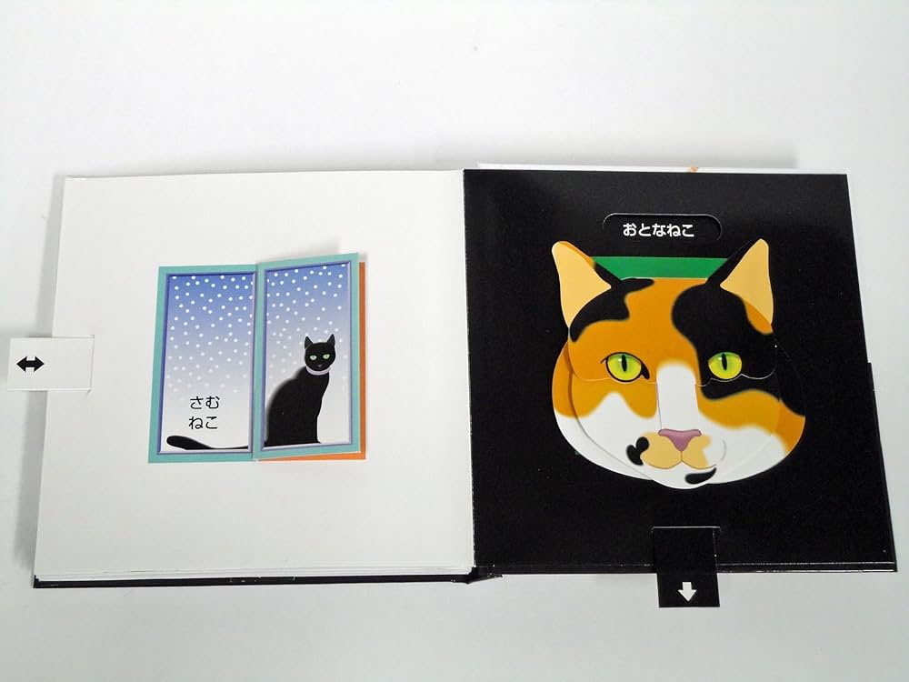 びっくりはんたいねこあそび (しかけえほん) | チャック マーフィー