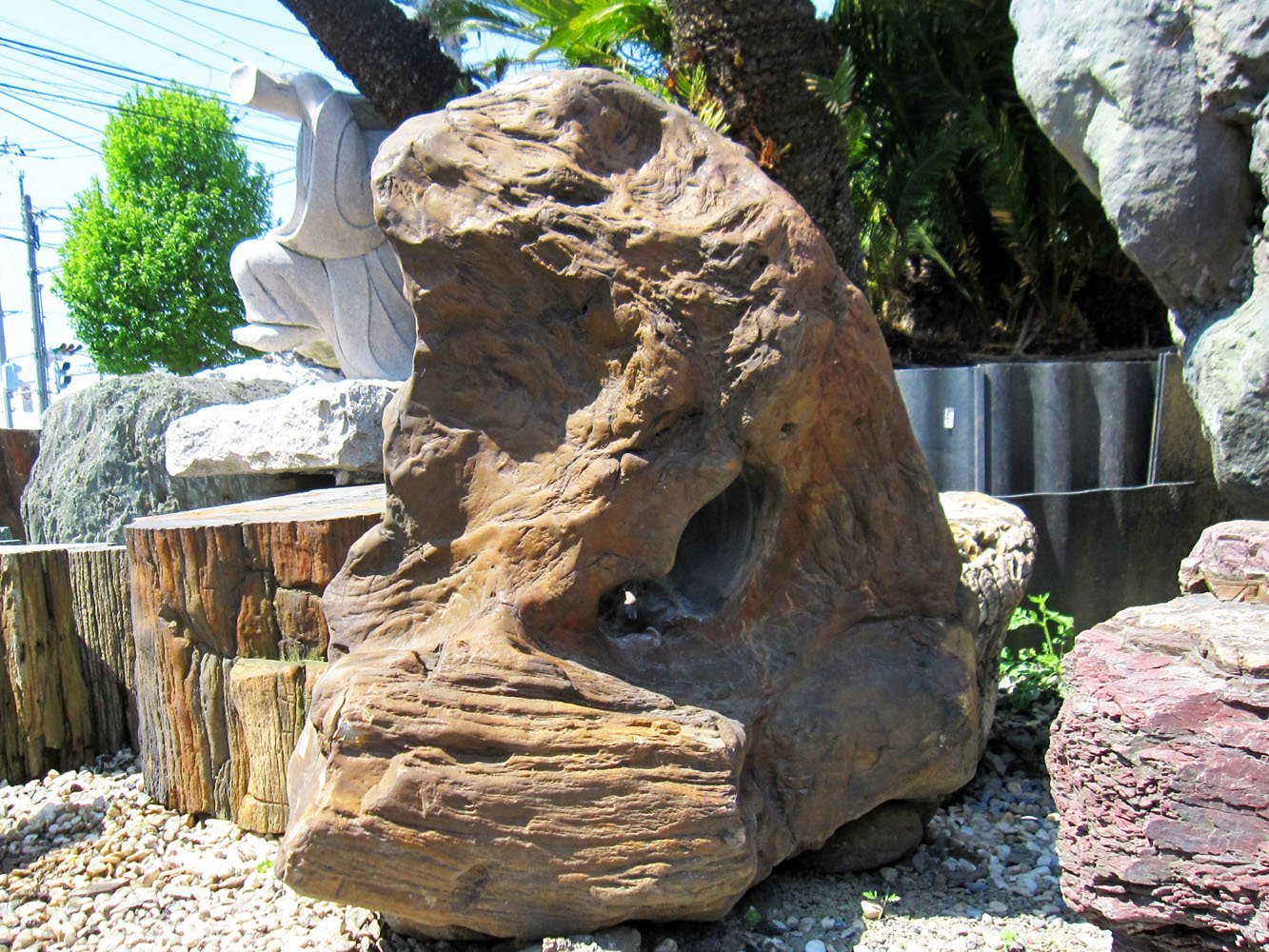 Amazon | 木化石 031 珪化木 庭石 | ガーデンオーナメント・置物