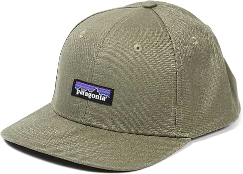 Amazon | [パタゴニア] ティンシェッド キャップ TIN SHED HAT 33376 P