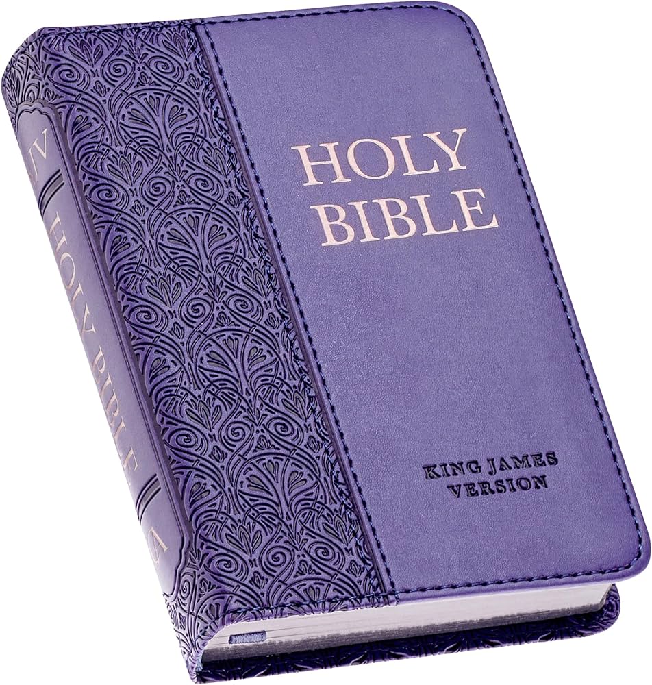 KJV Holy Bible, Mini Pocket Size, Faux Leather Red Letter Edition
