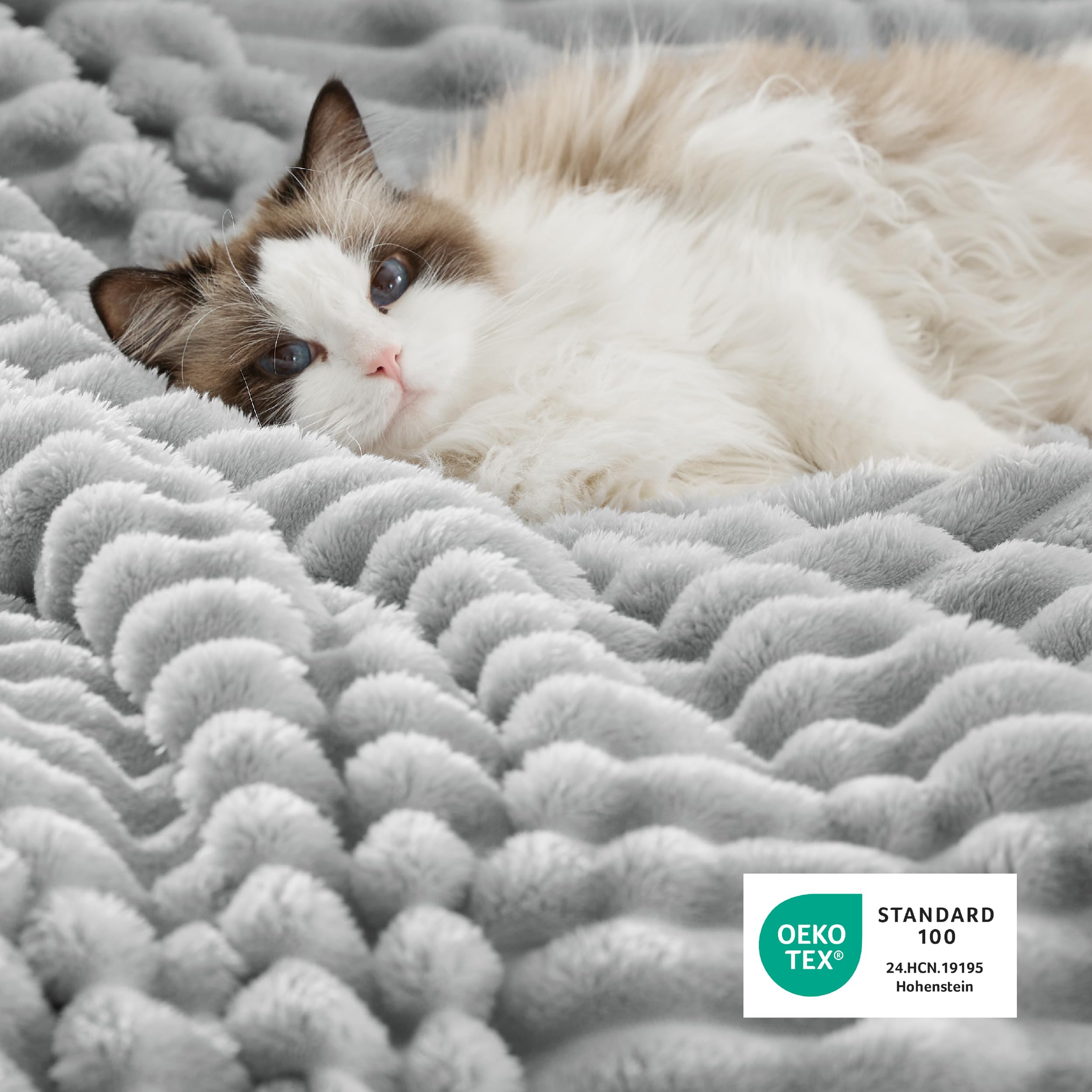 Amazon.com: Bedsure Sherpa Throw Blanket for Couch - Super Soft