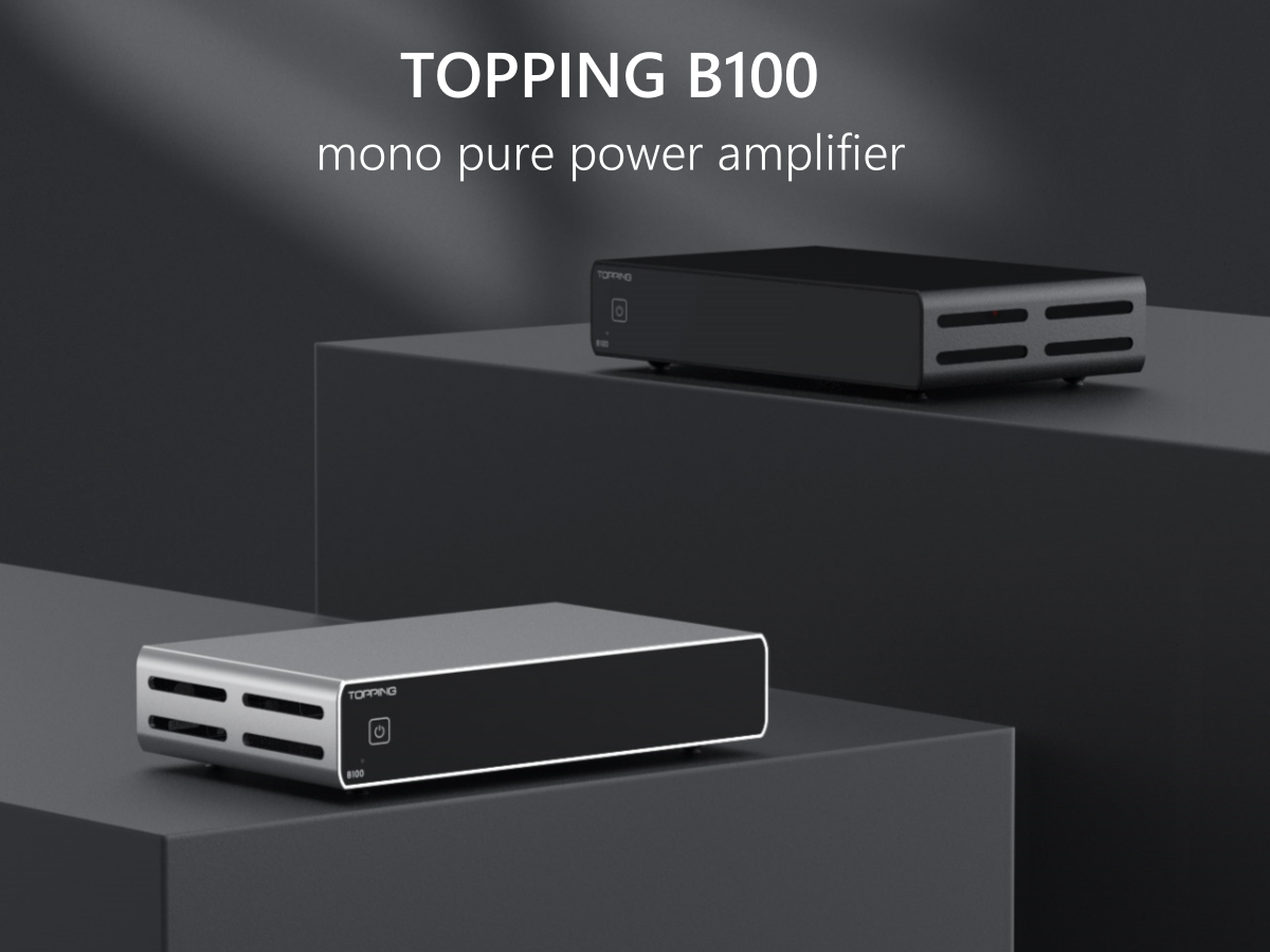 Amazon.com: TOPPING B100 Mono Block Power Amplifier - 100W Output