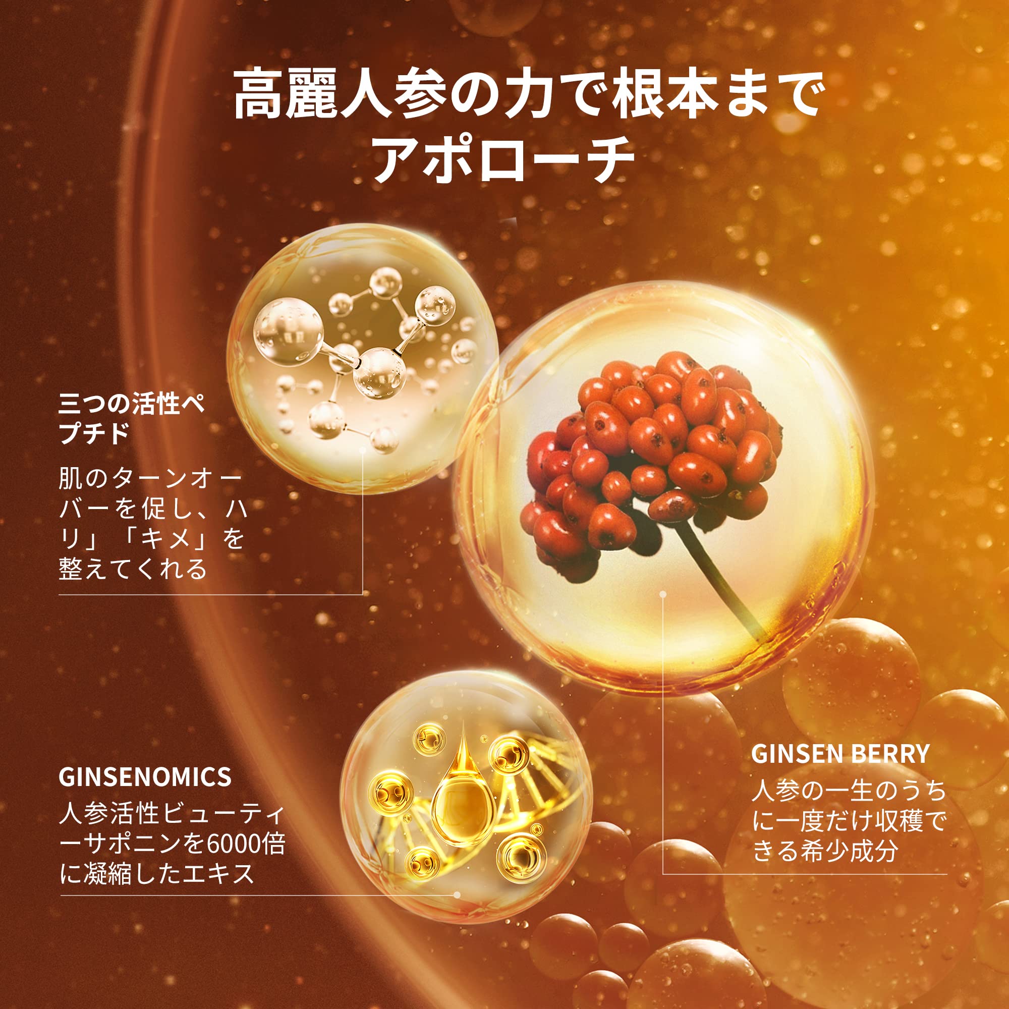 Amazon | Sulwhasoo【公式】雪花秀(ソルファス) 滋陰生(ジャウムセン