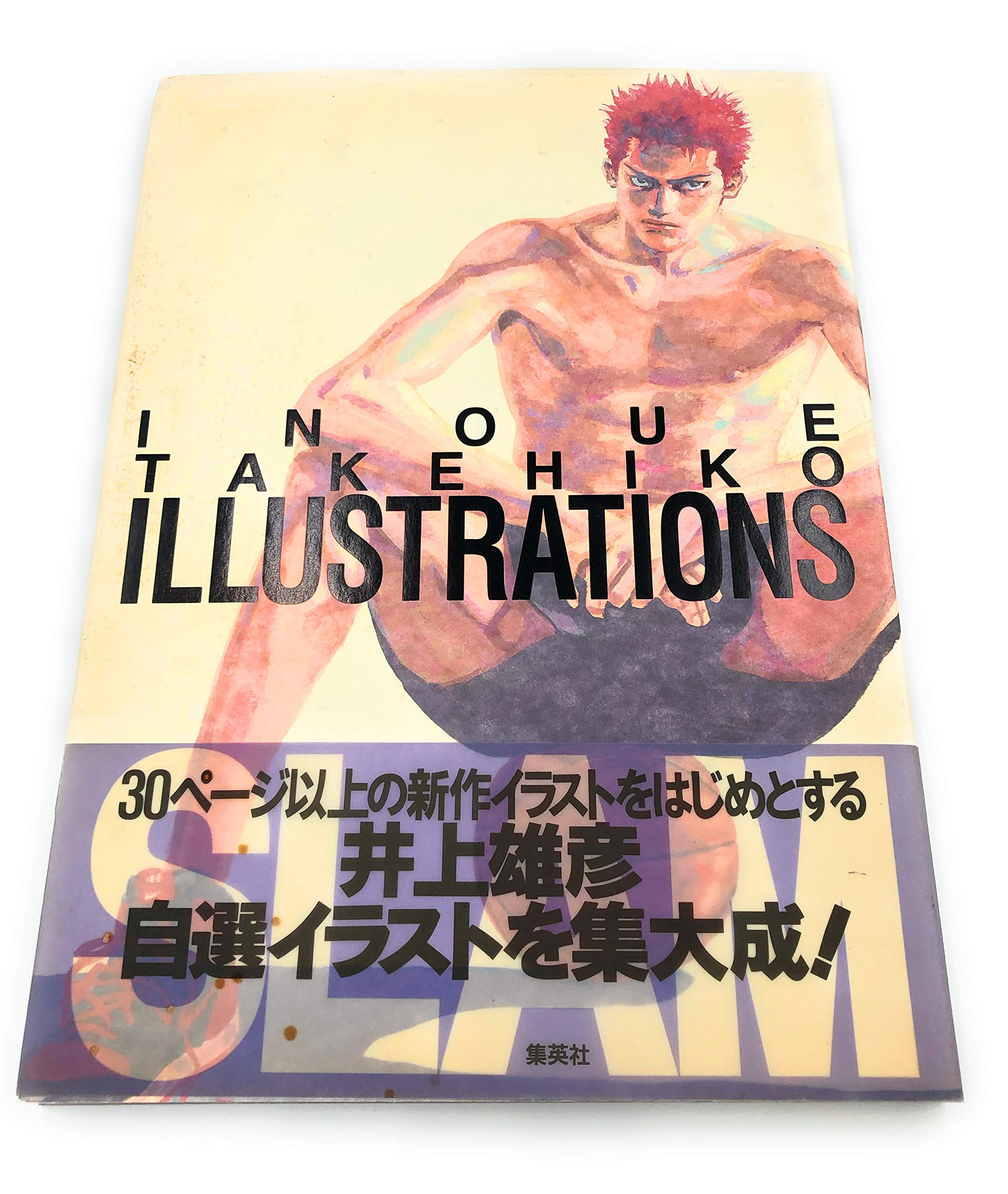 INOUE TAKEHIKO ILLUSTRATIONS | 井上 雄彦 |本 | 通販 | Amazon