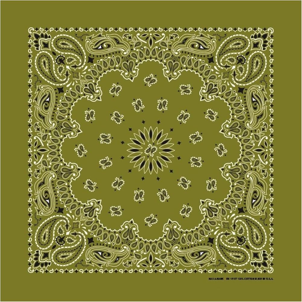 Amazon.com: Hav-A-Hank Olive Paisley Bandanna, 22x22, Made in USA