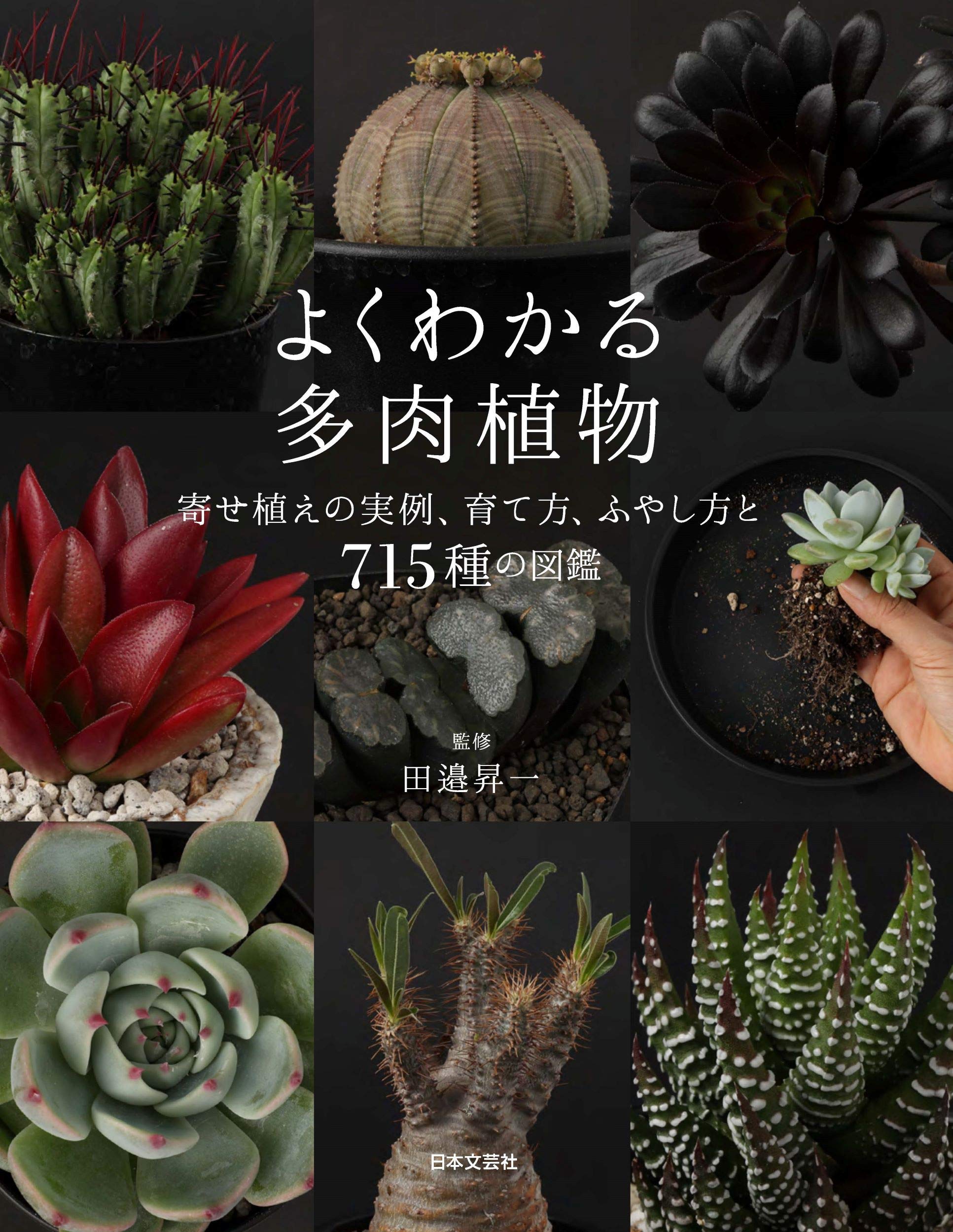 Amazon.co.jp: よくわかる多肉植物: 寄せ植えの実例、育て方・ふやし方