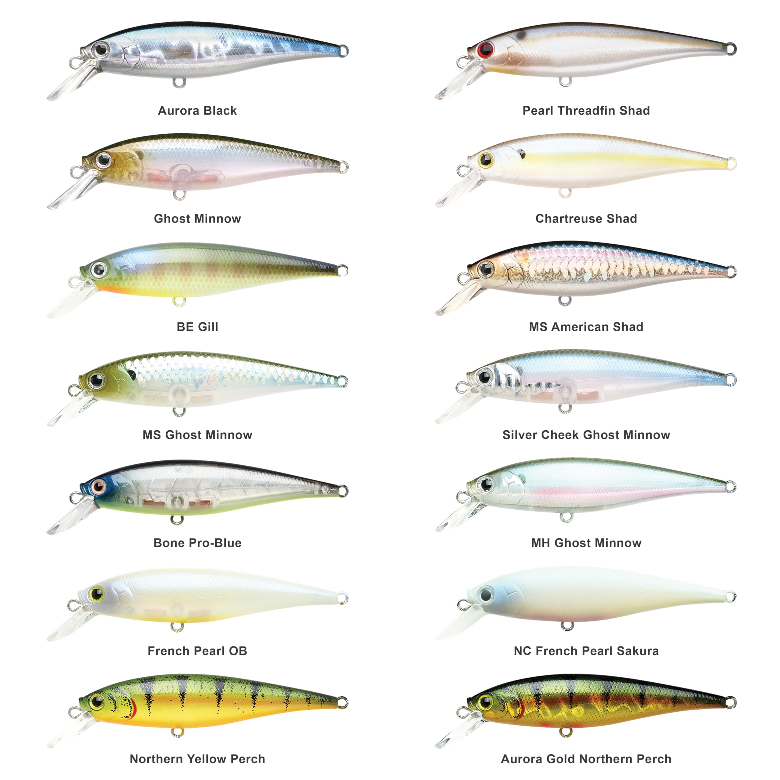 Amazon.co.jp: ラッキークラフト (LUCKY CRAFT) ポインター 78 (ビー