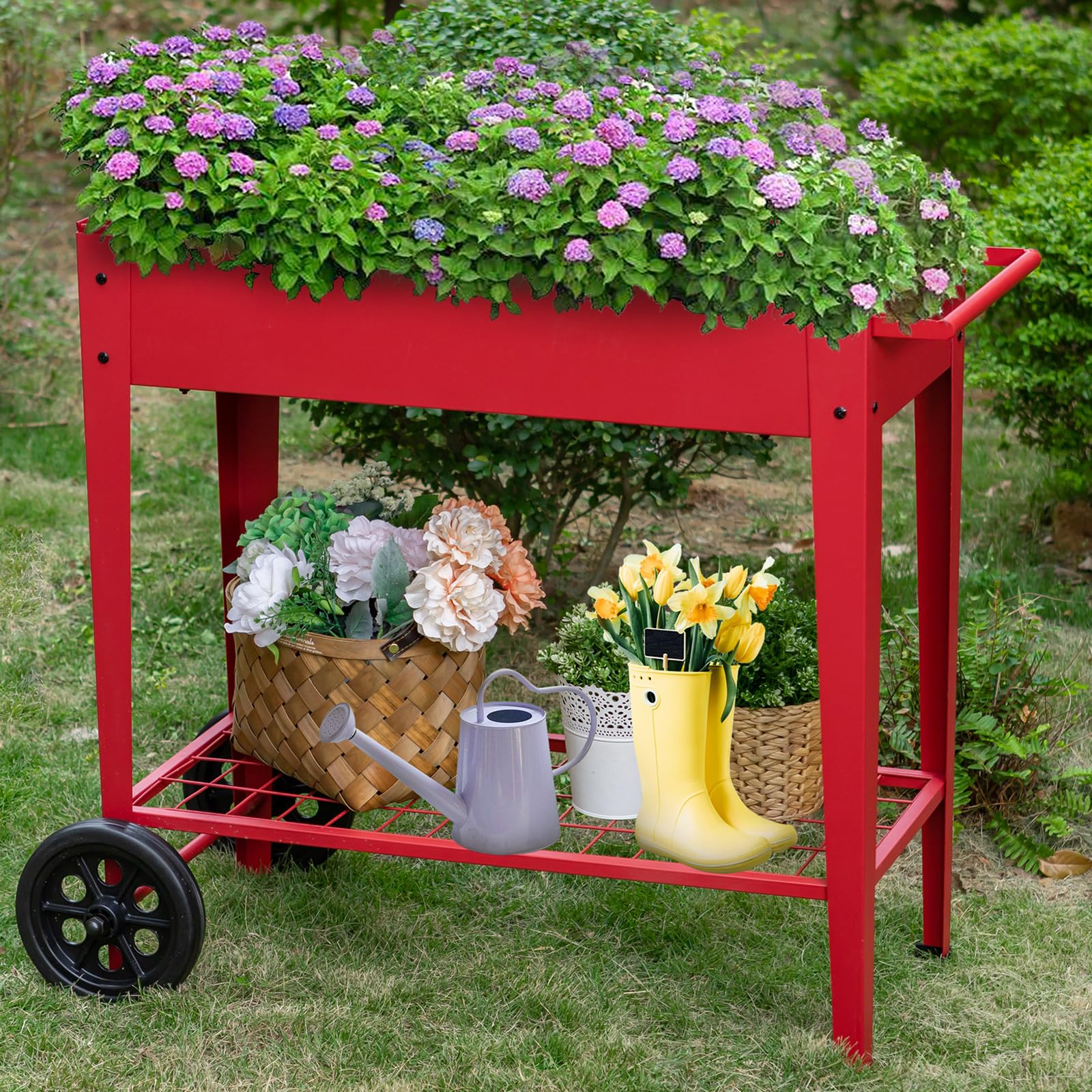 plants mania THE SIDE UP BOX plants mania THE SIDE UP BOX plants