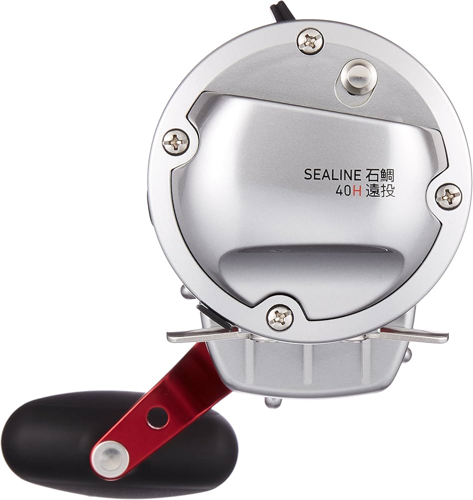 Amazon | ダイワ(Daiwa) NEW シーライン 石鯛 40H遠投 861038 | ダイワ