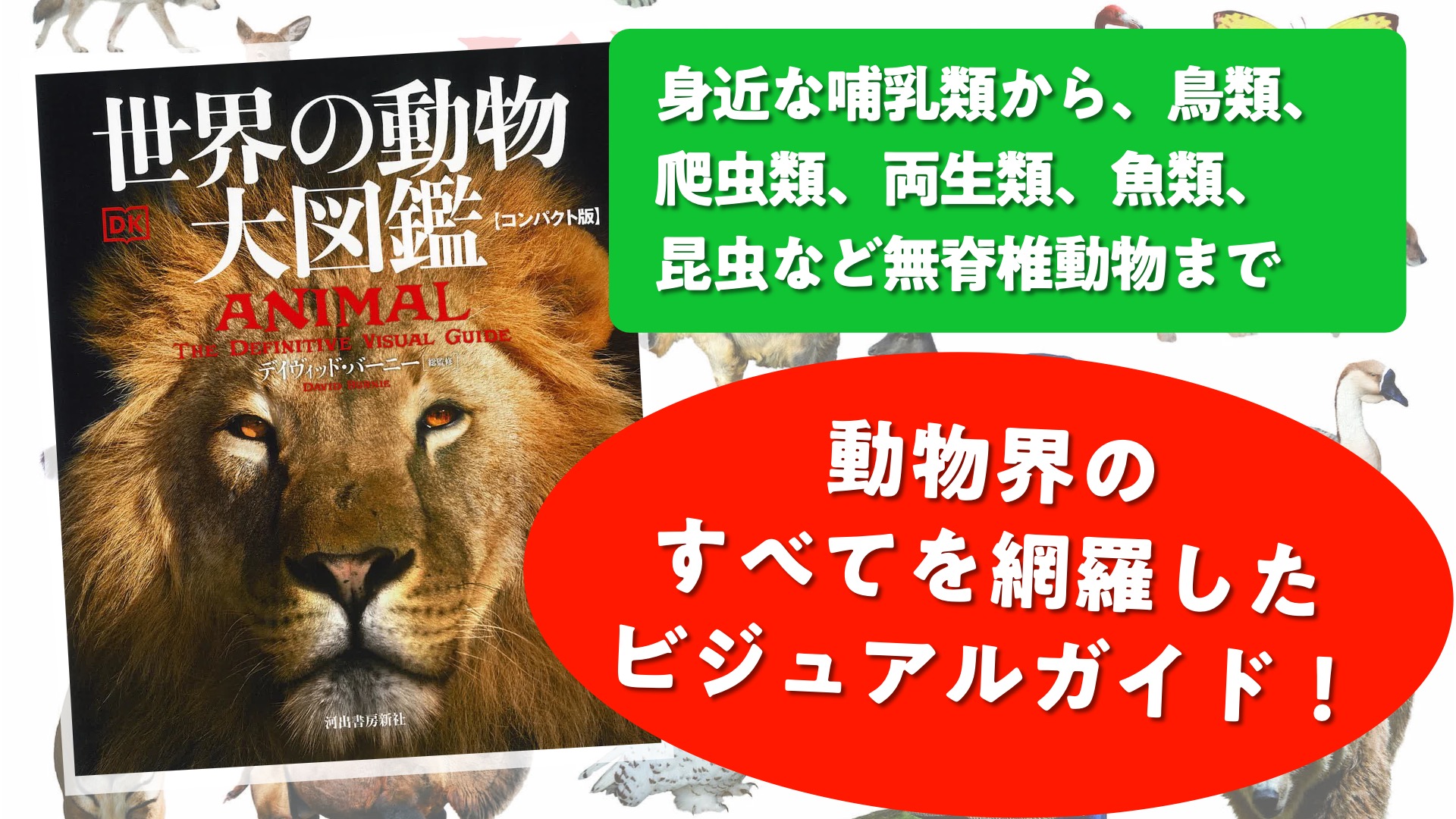世界の動物 大図鑑【コンパクト版】 | デイヴィッド・バーニー |本