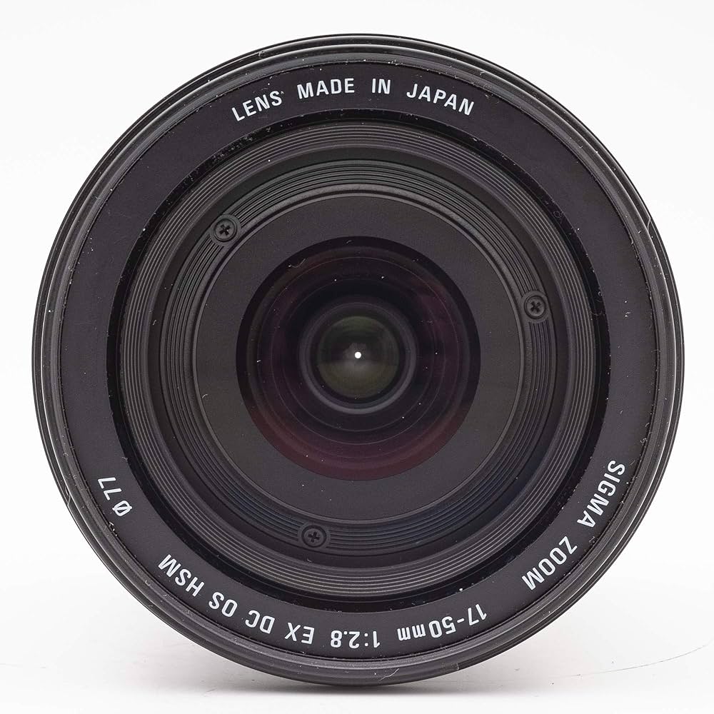 Amazon.co.jp: シグマ 17-50mm F2.8 EX DC OS HSM ソニー用 17-50mm F2