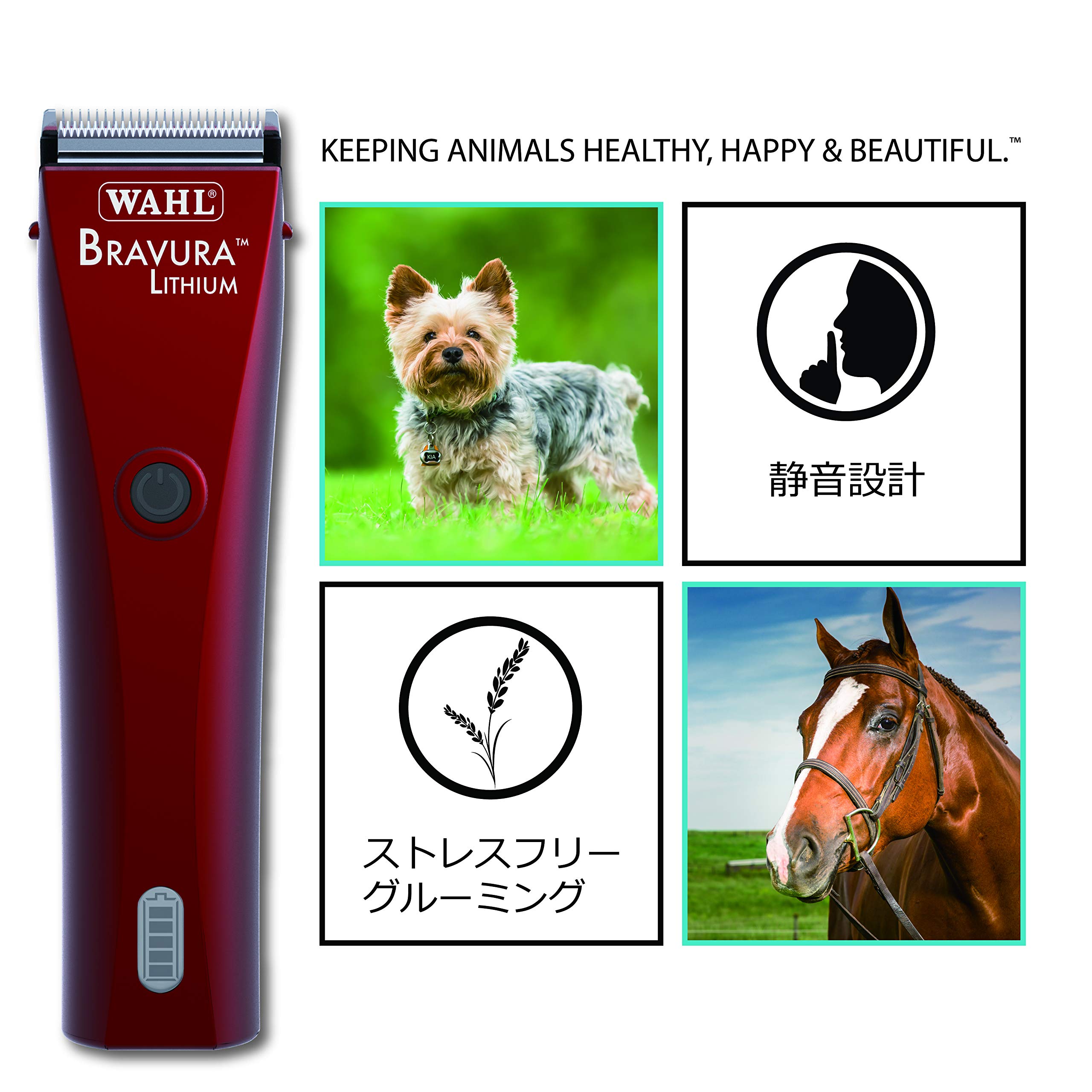 Amazon.co.jp: WAHL(ウォール) Bravura (ﾌﾞﾗﾋﾞｭｰﾗ_ﾍﾞﾙﾍﾞｯﾄﾚｯﾄﾞ_U