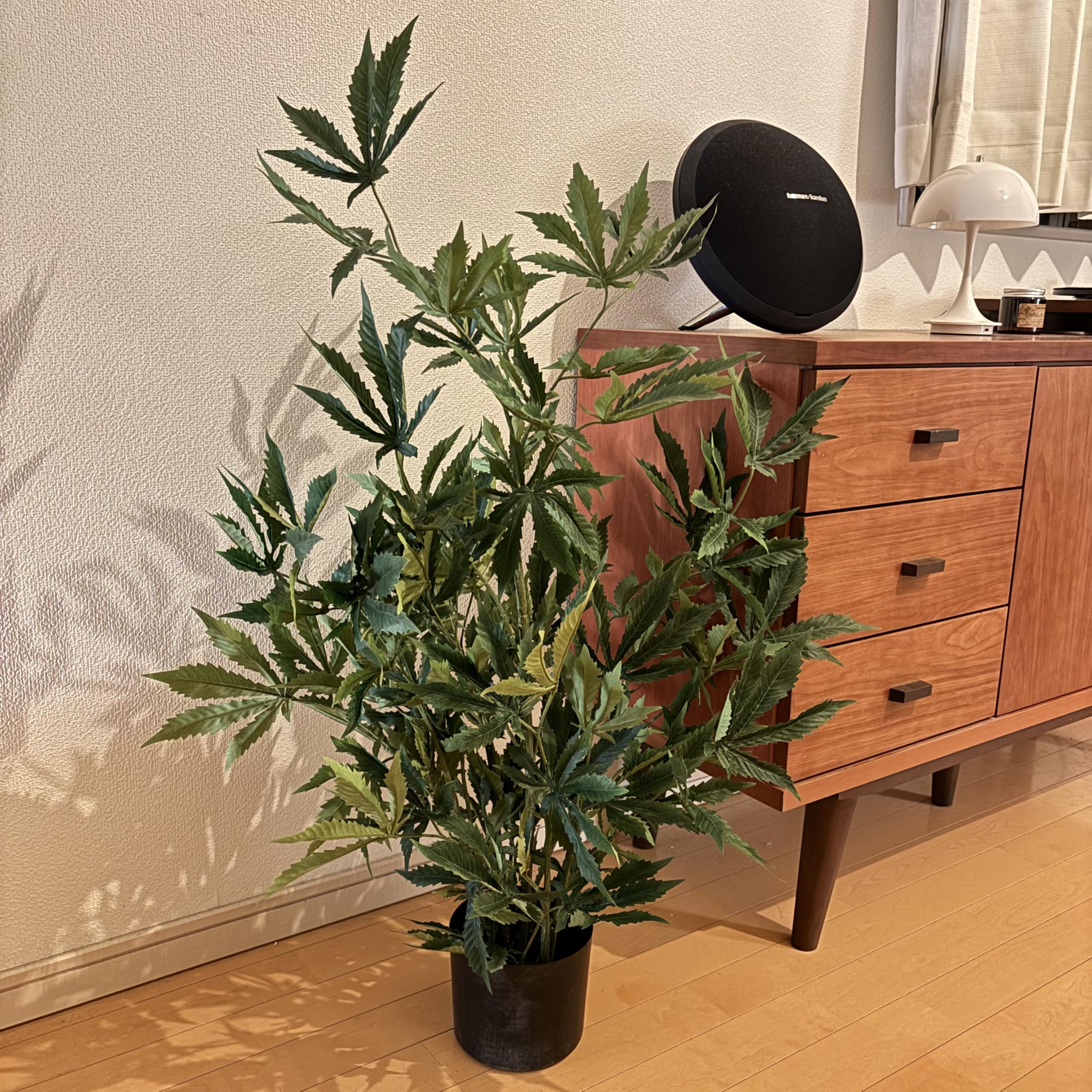 Amazon｜FeyFey フェイクグリーン 大麻 マリファナ CBD 造花 観葉植物