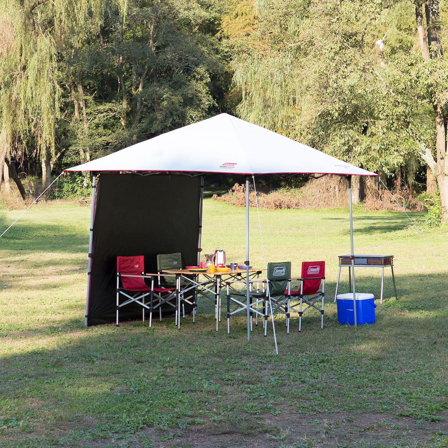 Amazon | Coleman(コールマン) フルフラップフォーバイザーシェード M+