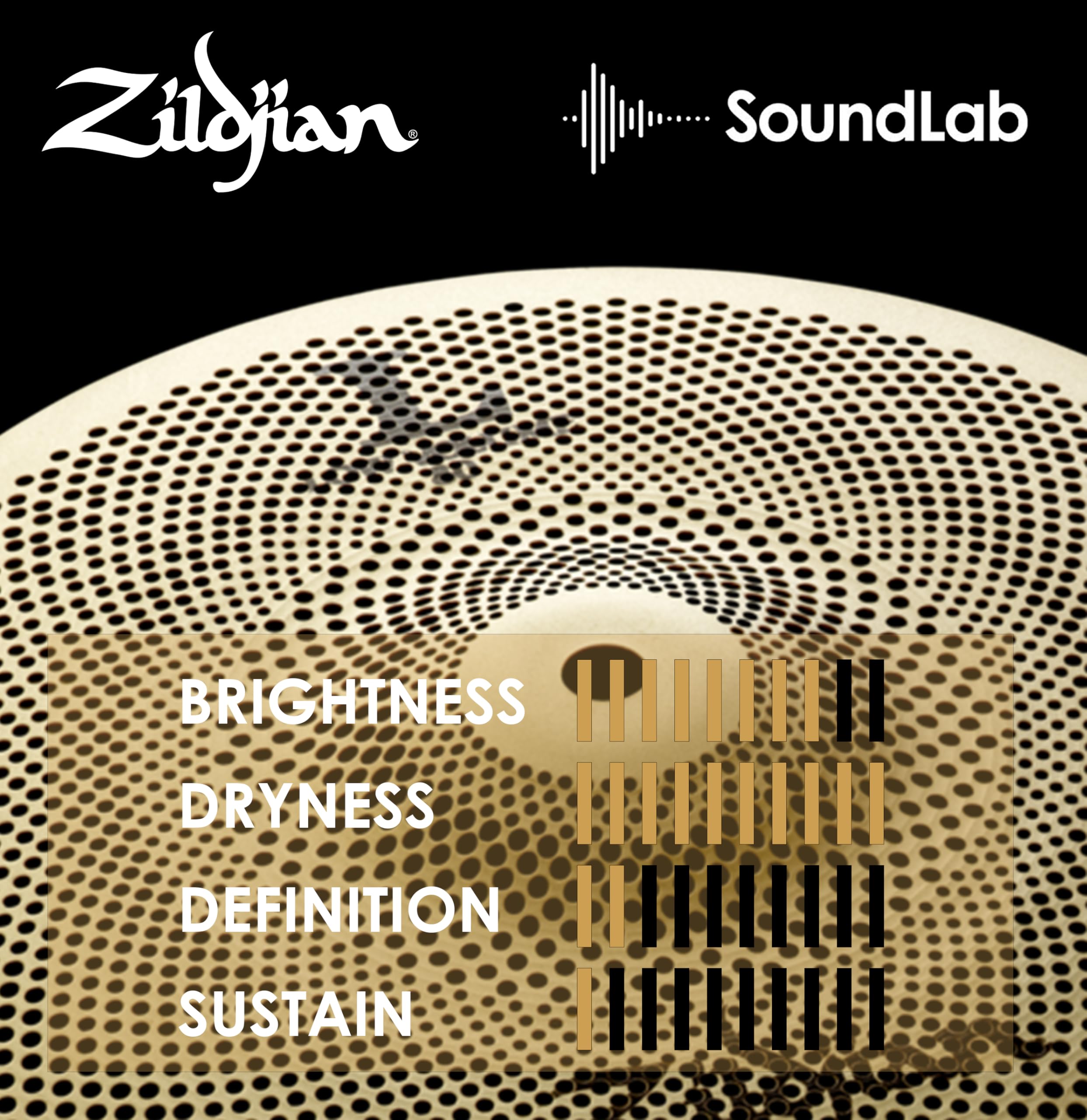 Amazon | ジルジャン L80 ローボリューム 10