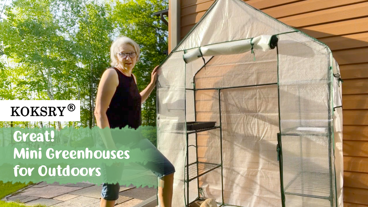 Amazon.com : KOKSRY Mini Greenhouse,Greenhouses for Outdoors