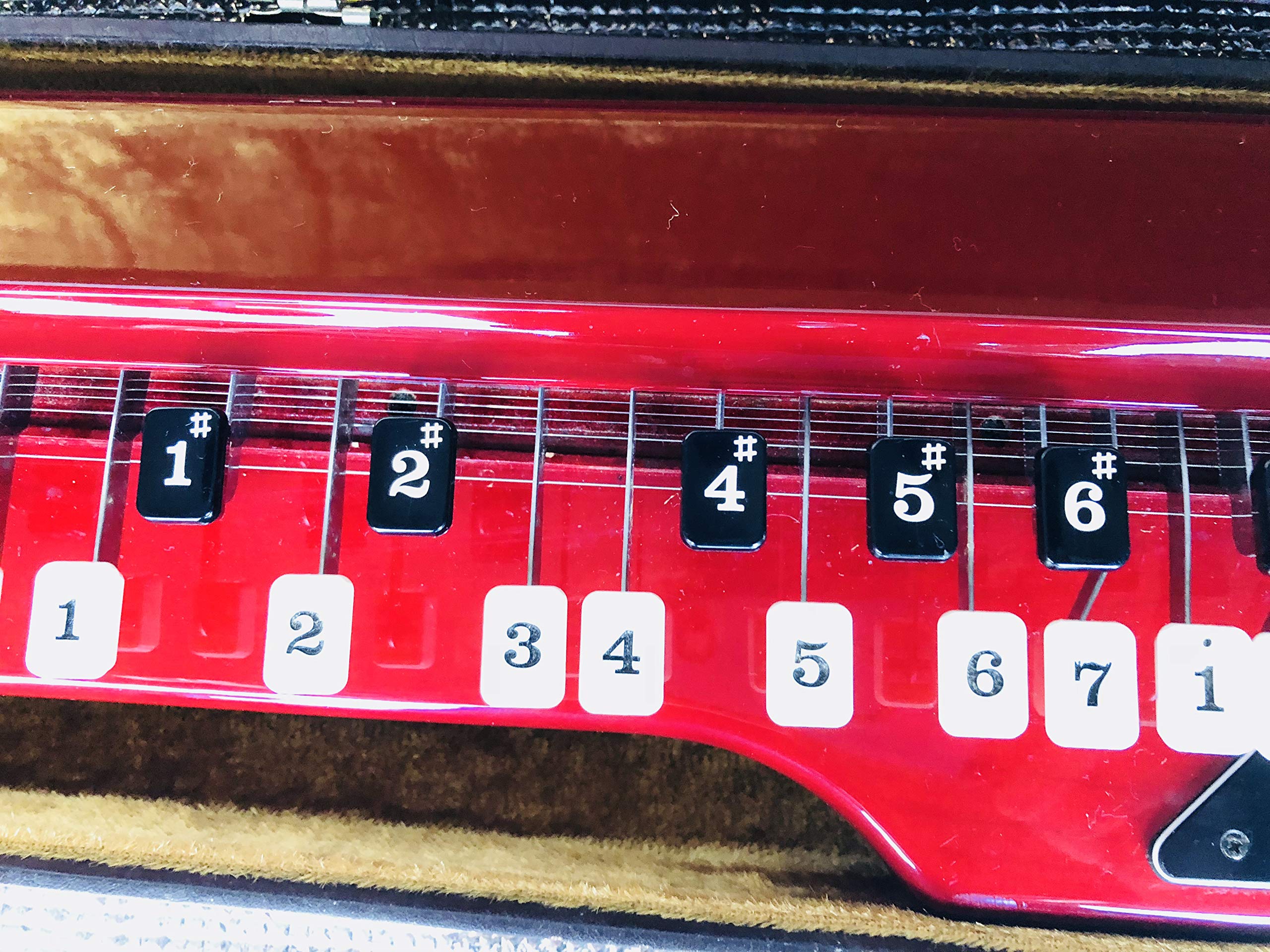 Amazon | スズキ電気大正琴「蘭」ソプラノ セミハードケース付 中古