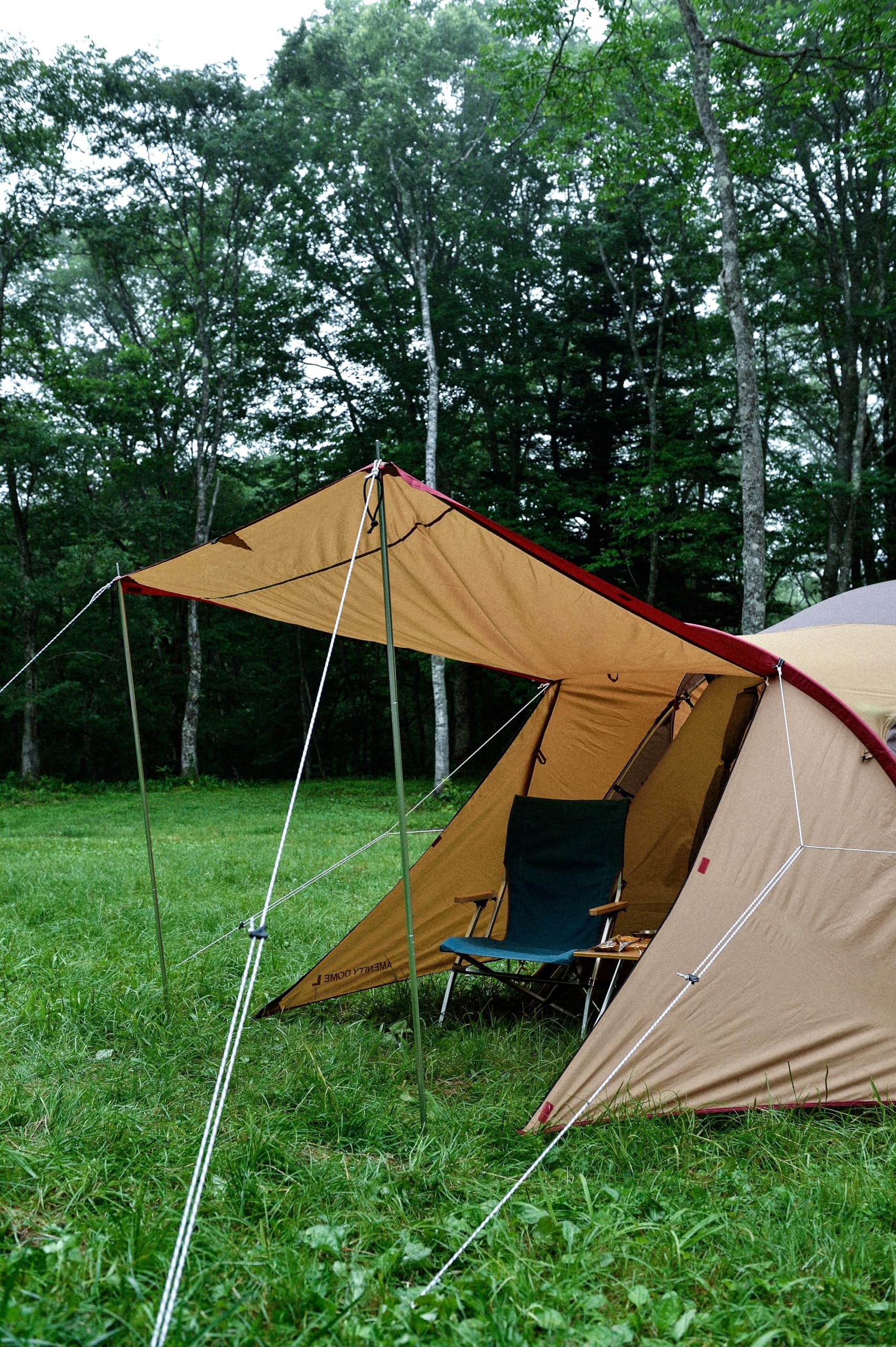 Amazon | スノーピーク(snow peak) アメニティドームアップライト