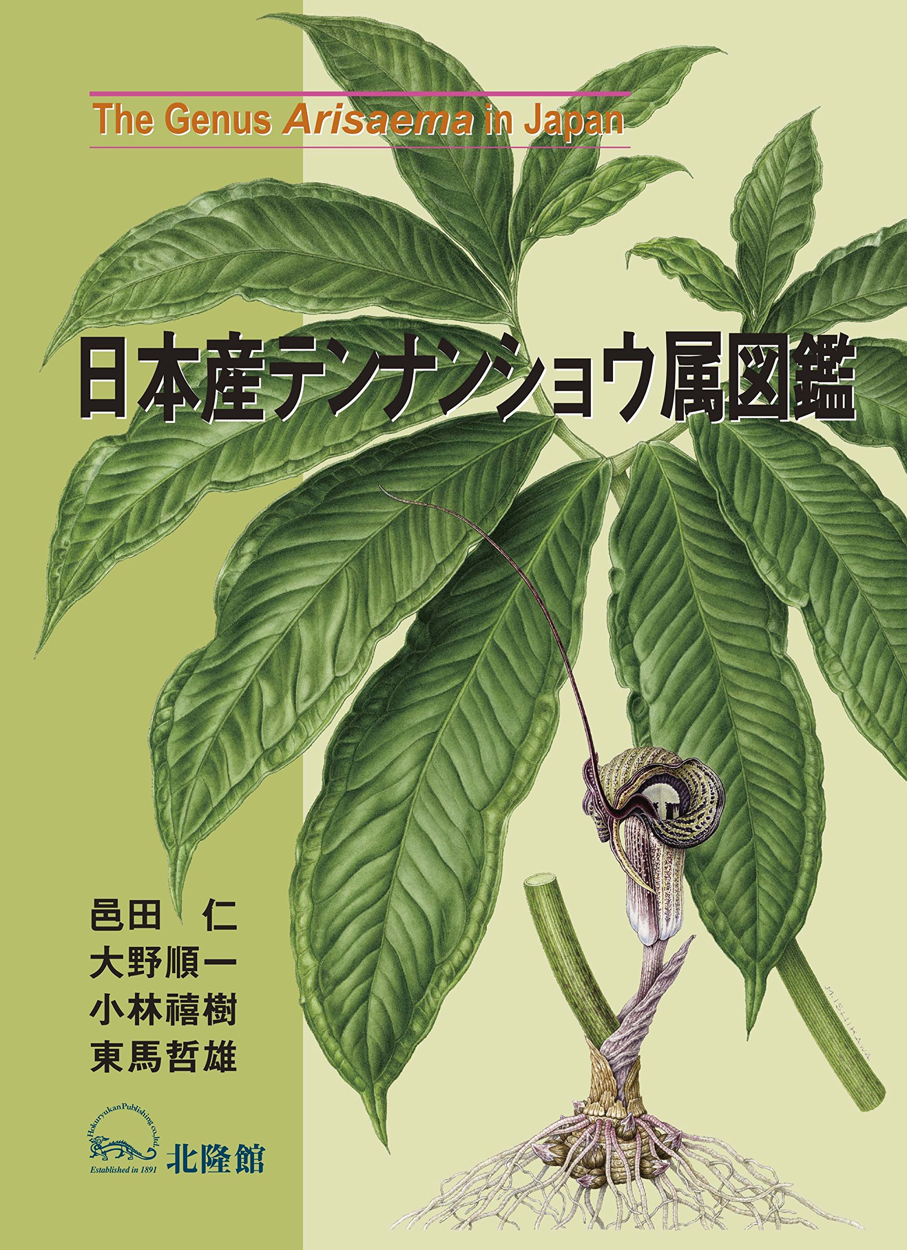 m*o様 山野草 アマギテンナンショウ 実生 10球 t*o様 山野草 アマギ