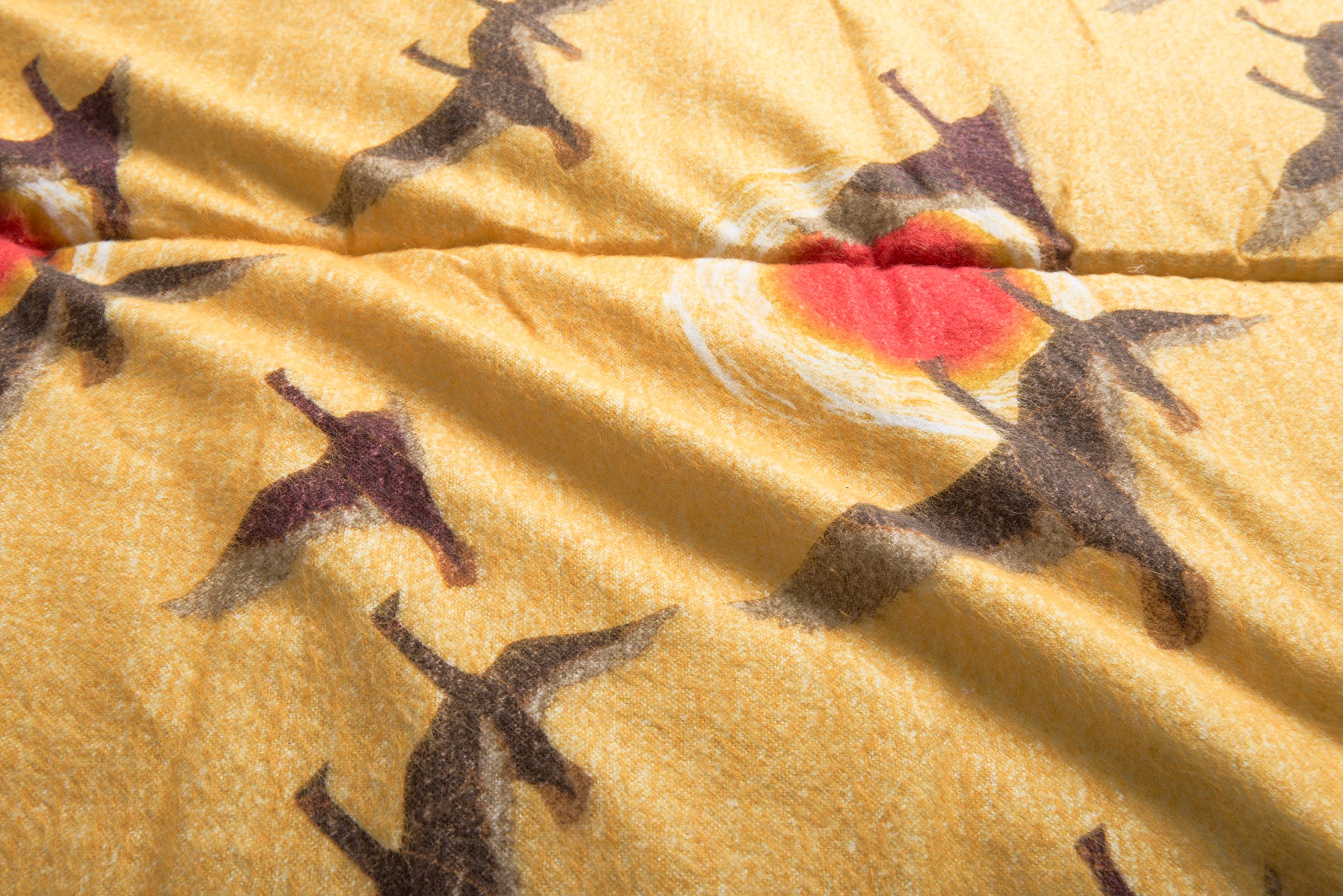 Amazon.co.jp: コールマン(Coleman) 寝袋 スリーピングバッグ C5 使用