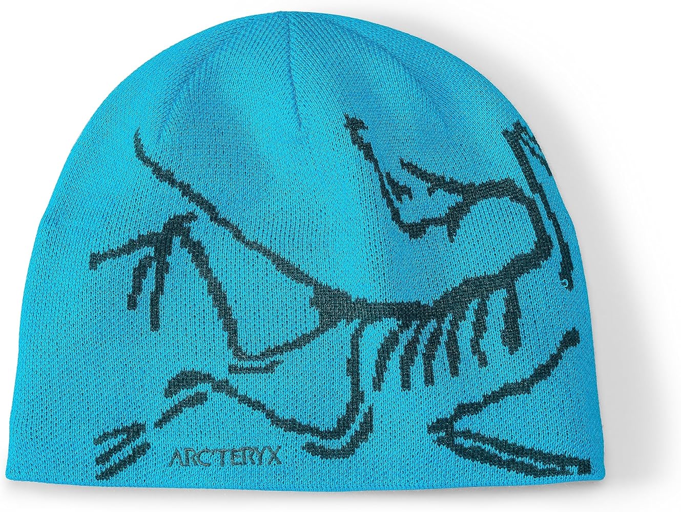 Amazon | [ARC'TERYX] Bird Head Toque Blue Tetra：Pytheas Free Size