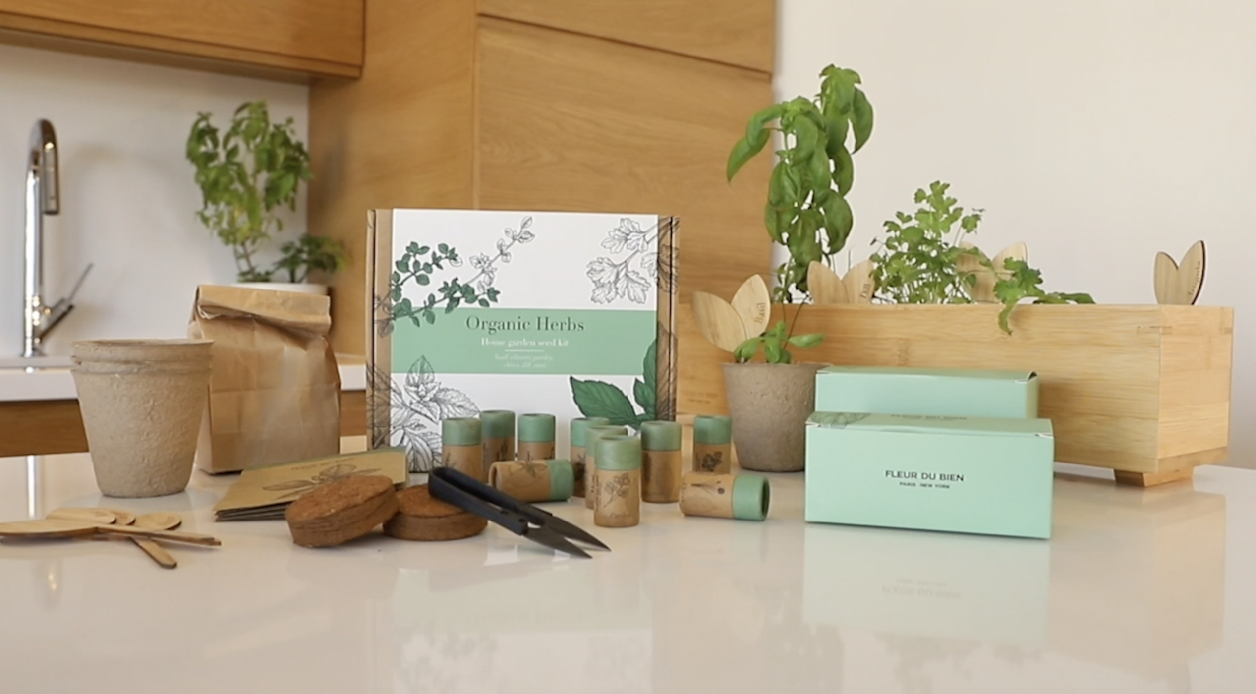 Amazon.com : FLEUR DU BIEN Indoor Herb Garden Starter Kit, 10