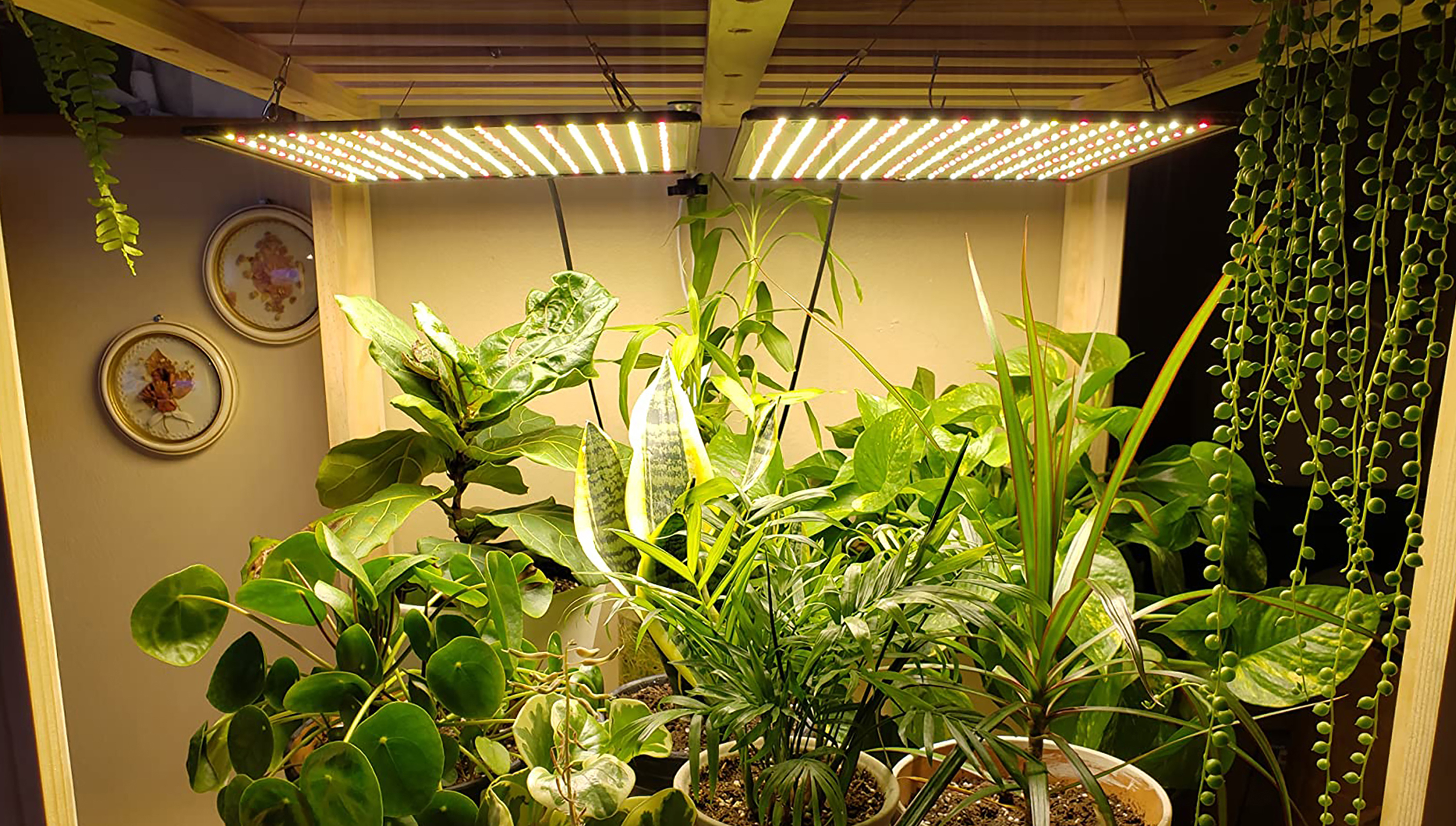 Amazon.co.jp: GREENSINDOOR 植物育成ライト LED 植物ライト 400W相当