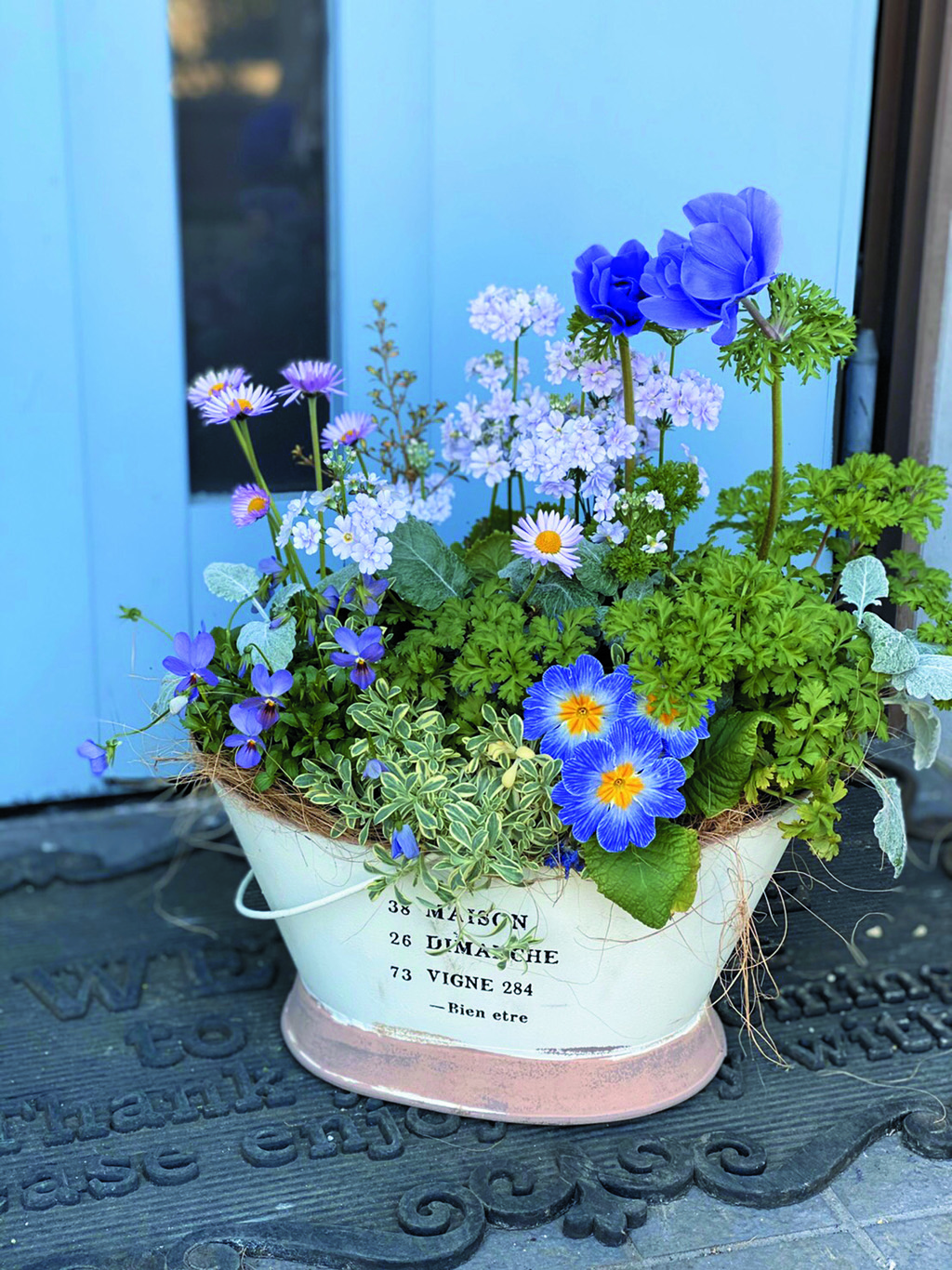 お花で楽しむ春の「寄せ植え」ーモン・ディマンシェ – ミマルシェ