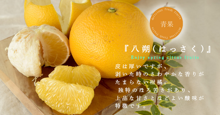 きくちゃんオススメセット | 有田みかん・和歌山県産柑橘の青果、加工