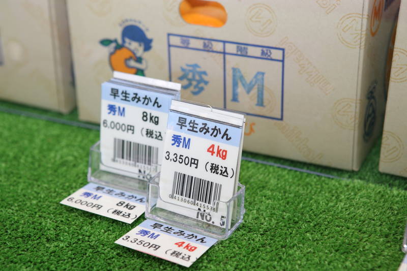 News&Topics｜三ヶ日みかんの直売所の様子 早生みかんが入荷中JAみっかび