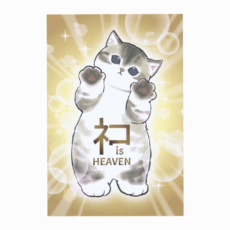 mofusand 猫海外限定確認用 mofusand 猫海外限定確認用