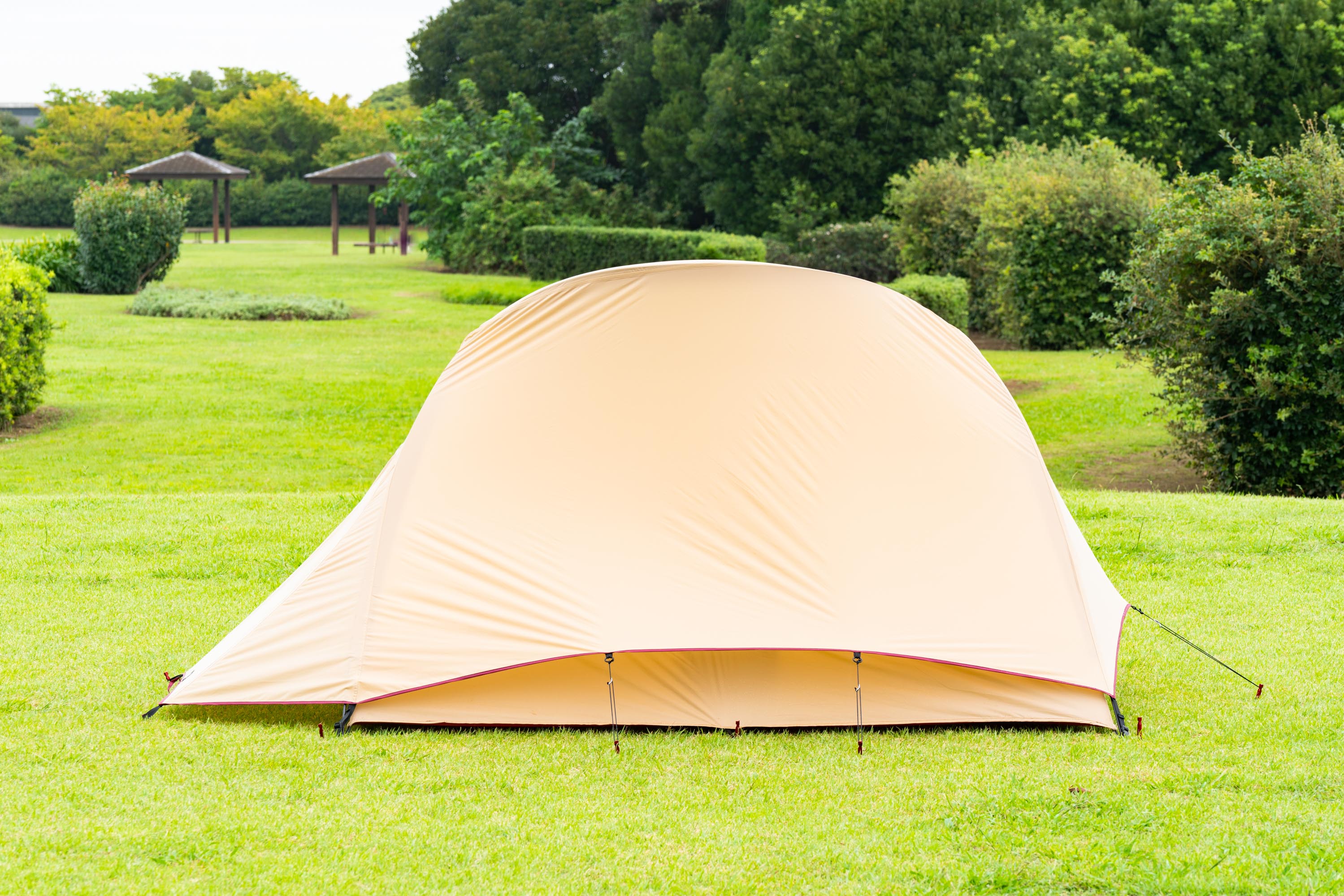 MOSS THE STARGAZER - 星空を楽しむ自立型テント | MOSS TENTS – MOSS