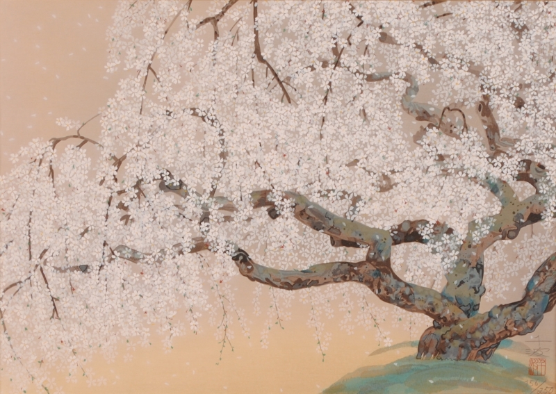 桜の絵を木版画で制作した中島千波の和の桜の絵「夢殿の枝垂櫻(2)」を