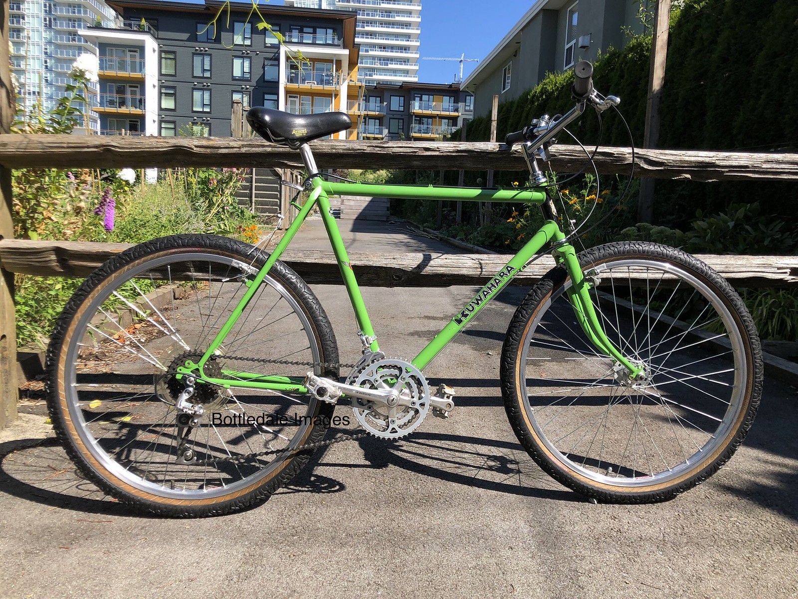 kuwahara:start [mtb-timeline]