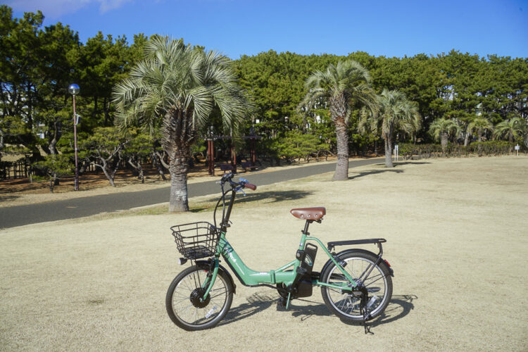 Amazonで超人気！折り畳み電動自転車ペルテック（TDN-212L）購入レビュー