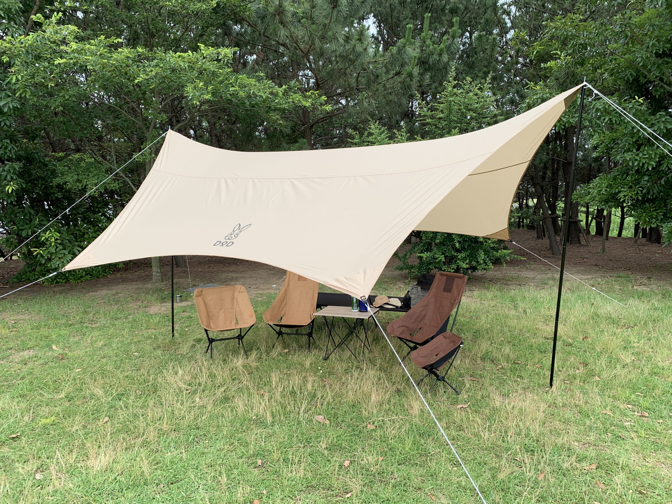 DOD ALL RIGHTヘキサタープ タン DOD ヘーキサタープ ALL RIGHT TARP