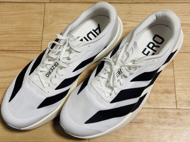 万能ランシューズ「Evo SL」レビュー｜軽さと安定性のオールラウンダー