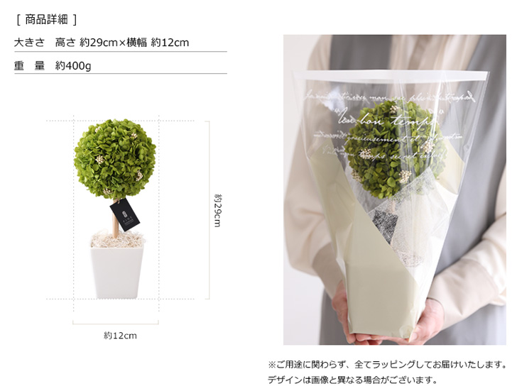 アナベルトピアリー - インテリアグリーン インドアグリーン 枯れない