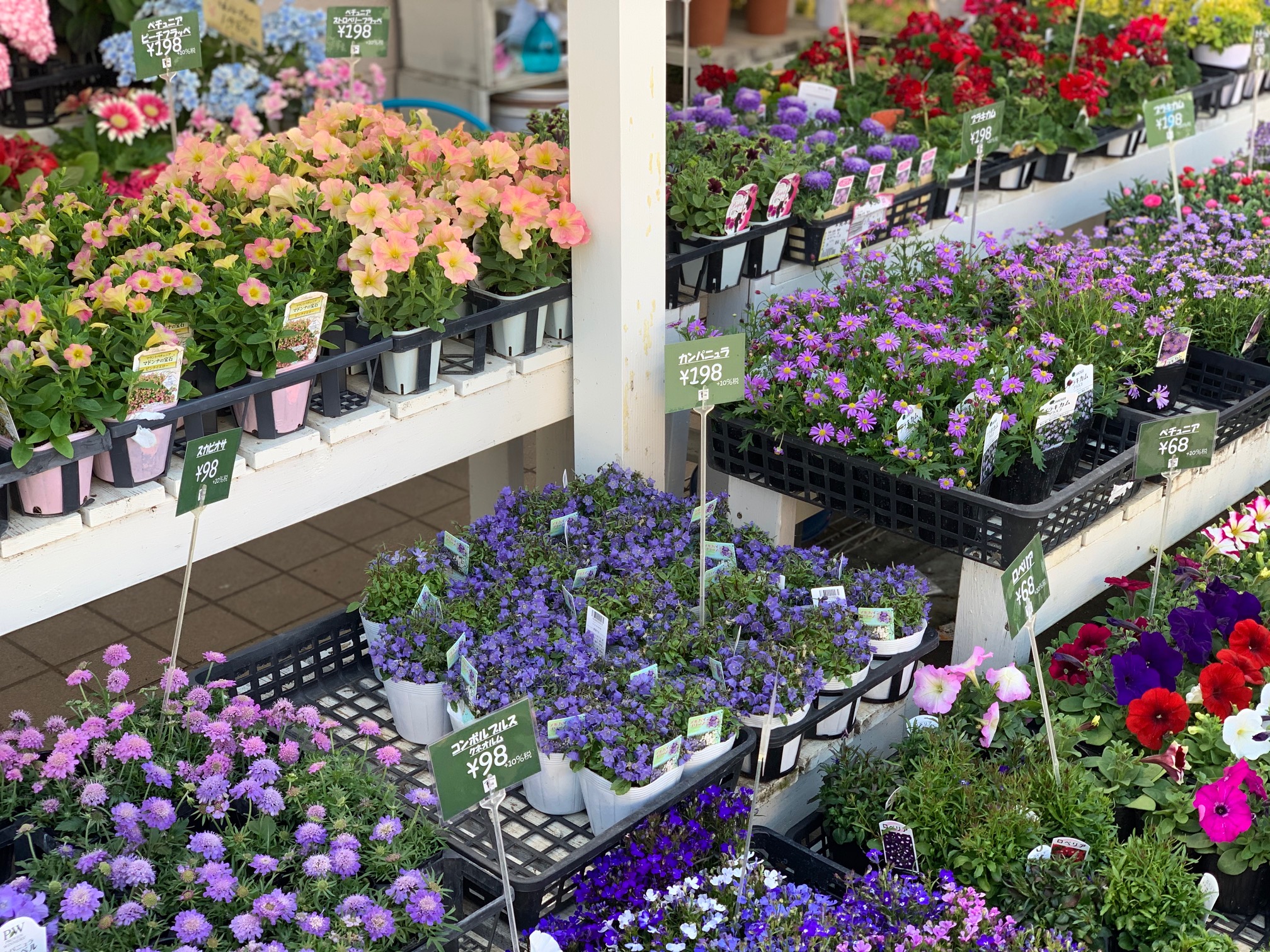 ガーデニング – Nishida Flower（西田フラワー）