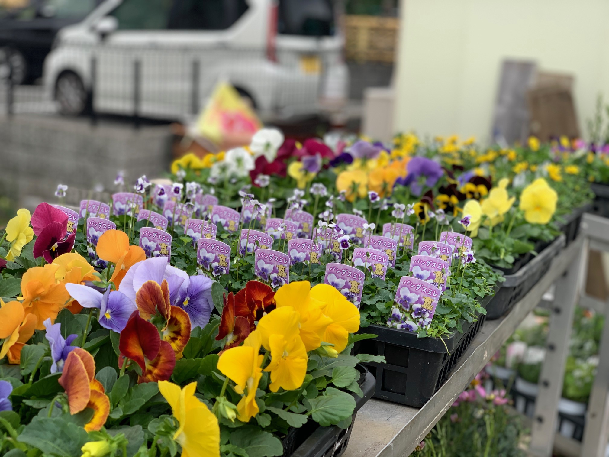 ガーデニング – Nishida Flower（西田フラワー）