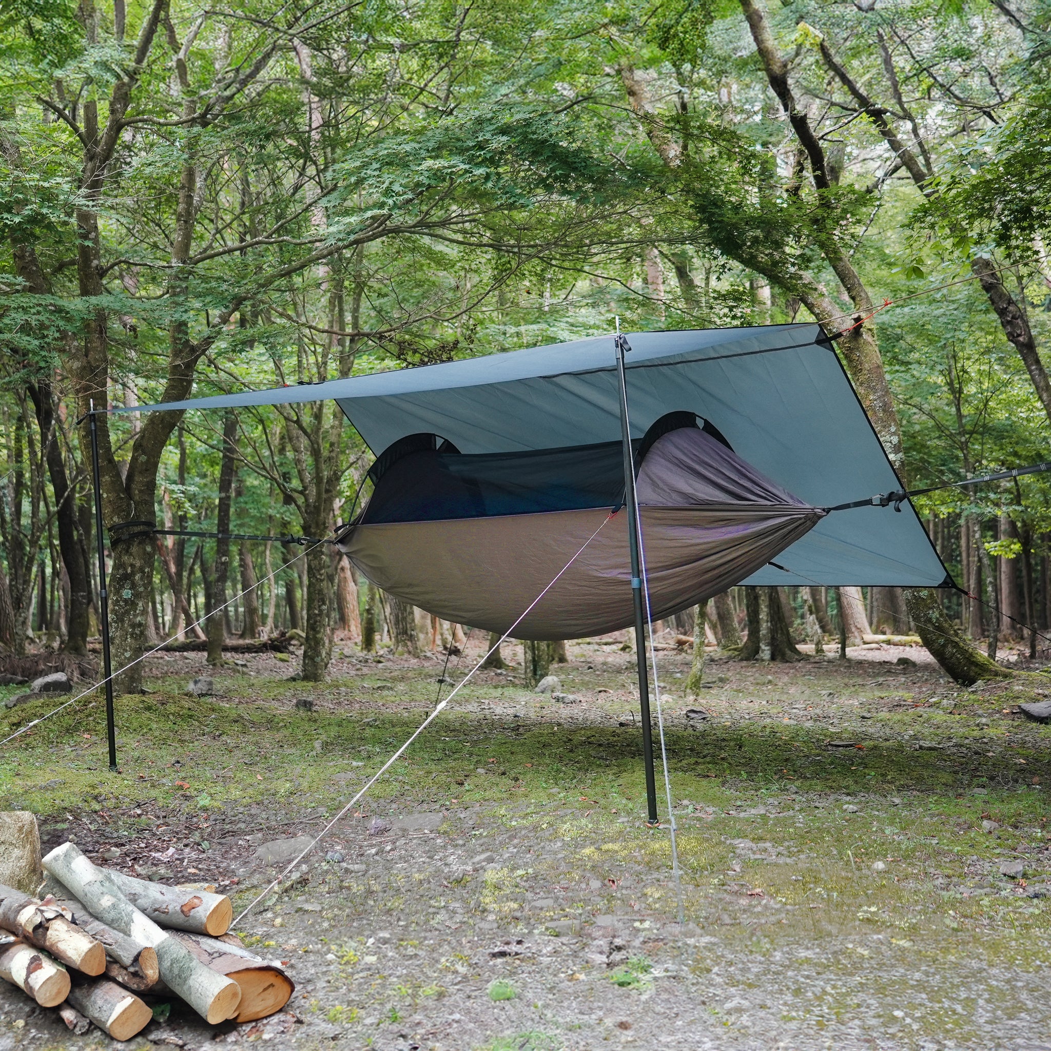 set.jpg?v=1727836608&width=1946