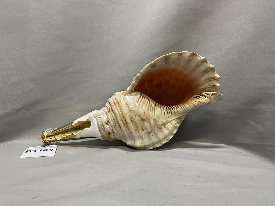 法螺貝 約35㎝ 木製歌口,新品 MH-453 法螺貝 約35㎝ 木製歌口, MH-453