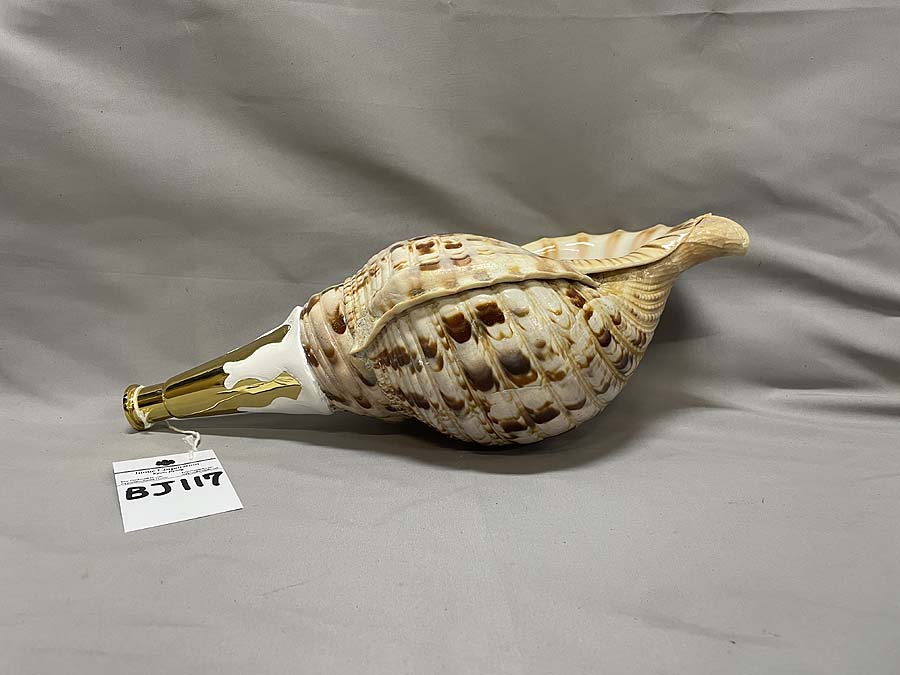 法螺貝（ほら貝）、歌口（吹き口）付 制作、販売、修理、特価在庫