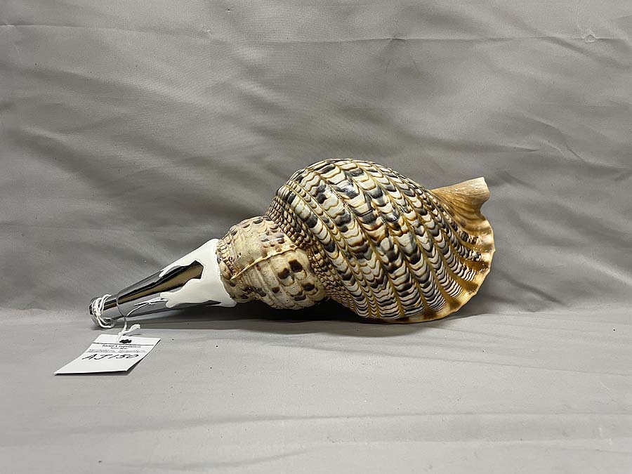 法螺貝（ほら貝）、歌口（吹き口）付 制作、販売、修理、特価在庫