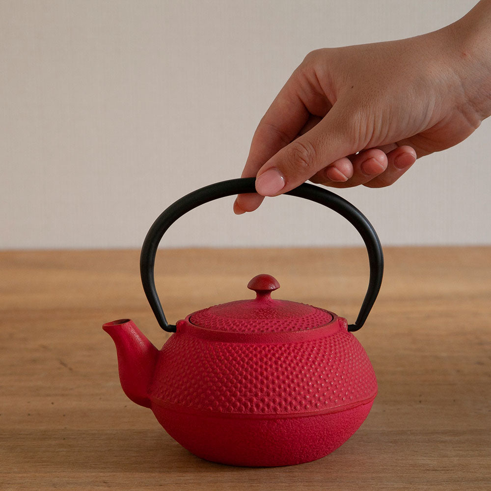 南部鉄器 急須 アラレ 0.4L 5種 ｜のレン神楽坂【公式通販】発酵