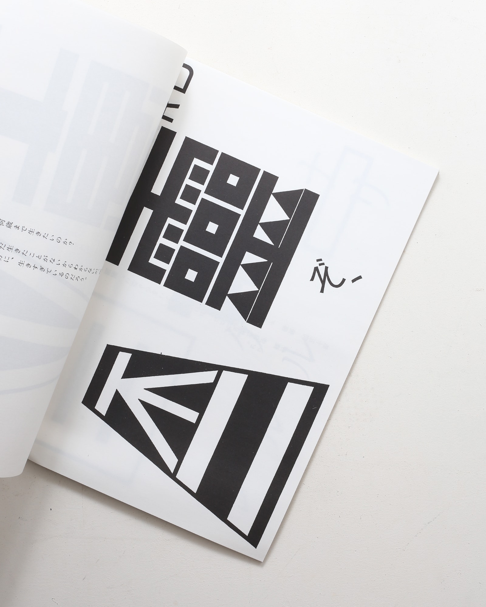 仲條のフジのヤマイ | 仲條正義 | nostos books ノストスブックス