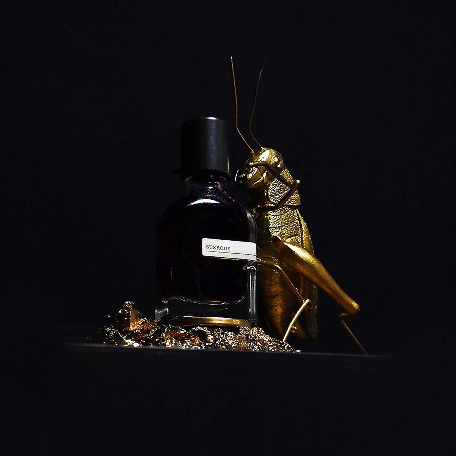 ステルクス｜糞 – NOSE SHOP